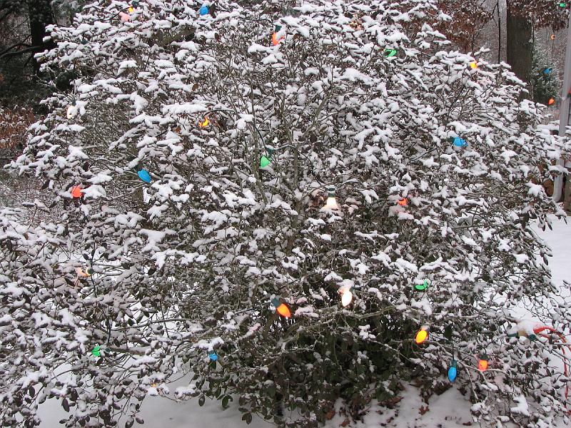 2008-12-07_First_Snow 002.jpg